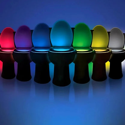 Toilet Night Light