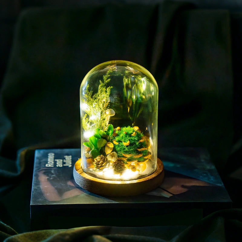 EternaBloom™ Lampe de nuit